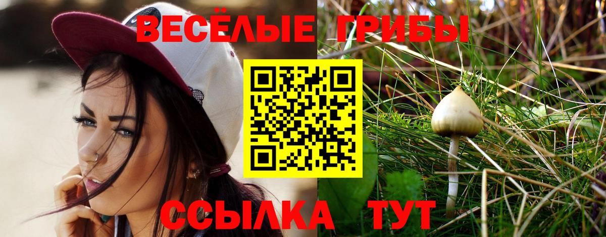 Псилоцибиновые грибы MAGIC MUSHROOMS  Галлюциногенные грибы мицелий  Дальнегорск  Вход с VPN 